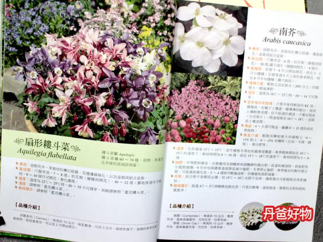 盆栽 種植 值樹