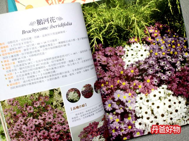 盆栽 種植 值樹