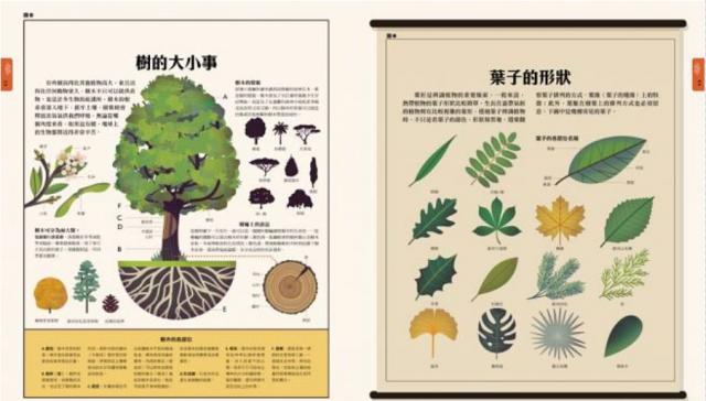 自然 科普 科學