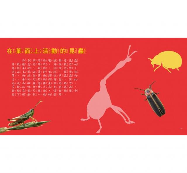 知識 科普