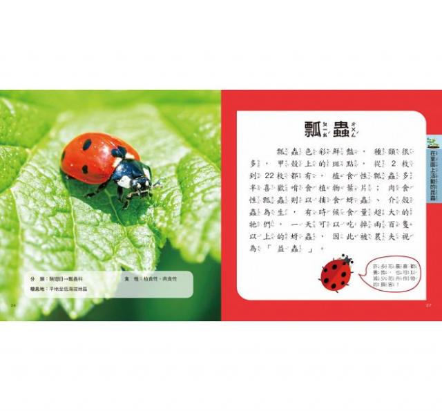 知識 科普