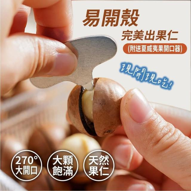 堅果核桃