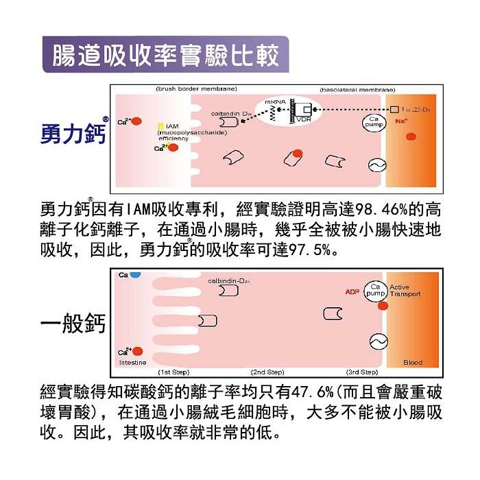 保健食品健康食品營養