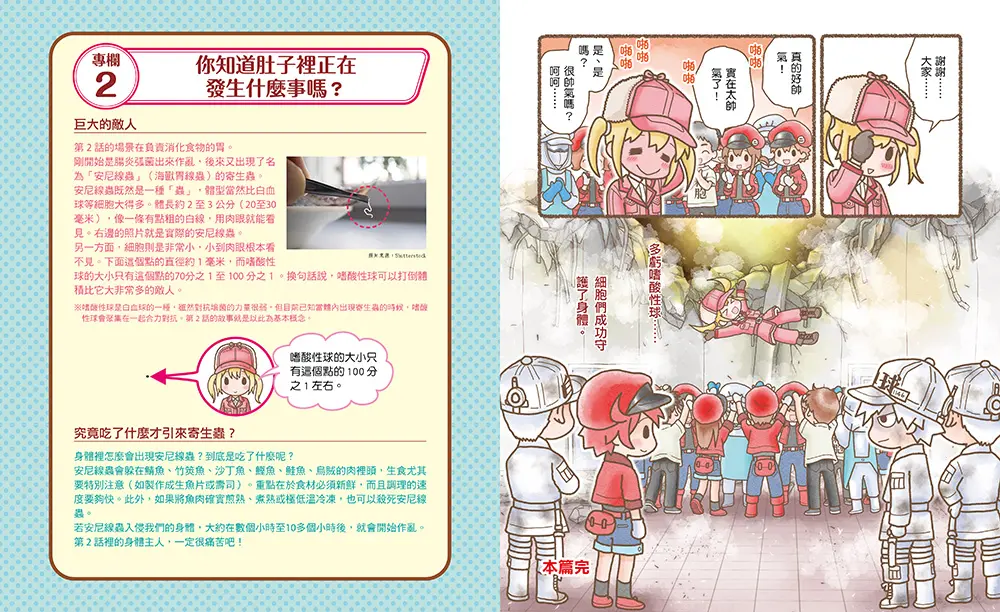 知識繪本科普科學