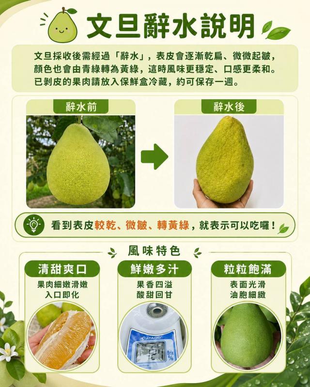 中秋節伴手禮柚子